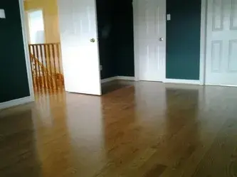 Refinished hardwood floor in a sunlit room